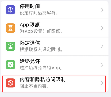 赵西垸林场appleID维修服务iPhone设置中Apple ID显示为灰色无法使用