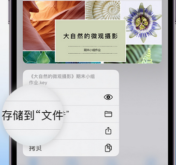 赵西垸林场apple维修中心分享iPhone文件应用中存储和找到下载文件