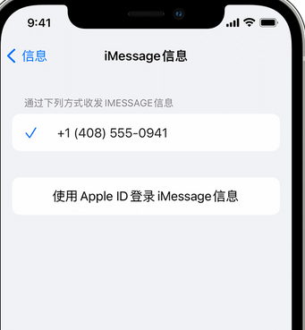 赵西垸林场apple维修iPhone上无法正常发送iMessage信息