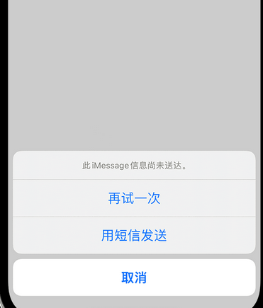 赵西垸林场apple维修iPhone上无法正常发送iMessage信息