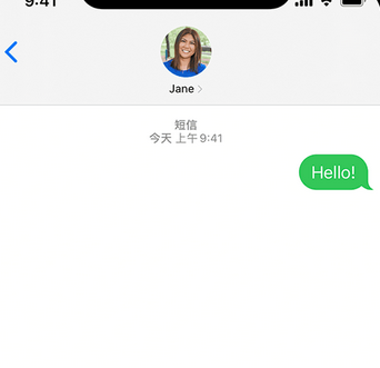 赵西垸林场apple维修iPhone上无法正常发送iMessage信息