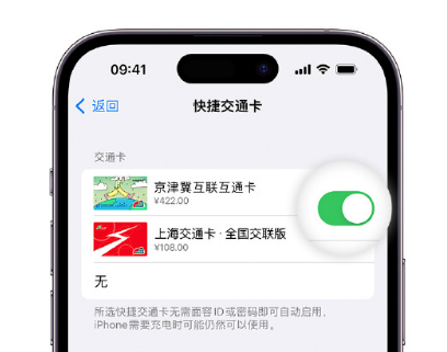 赵西垸林场apple维修点分享iPhone上更换Apple Pay快捷交通卡手绘卡面 