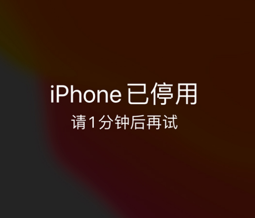 赵西垸林场苹果手机维修分享:iPhone 显示“不可用”或“已停用”怎么办？还能保留数据吗？ 