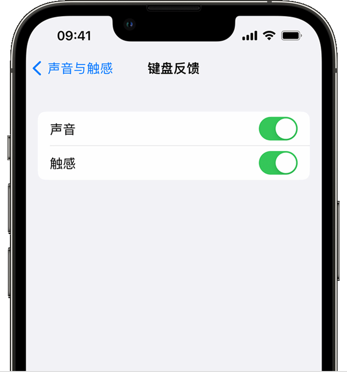 赵西垸林场苹果14维修店分享如何在 iPhone 14 机型中使用触感键盘 