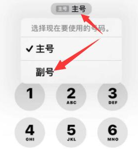 赵西垸林场苹果14维修店分享iPhone 14 Pro Max使用副卡打电话的方法 