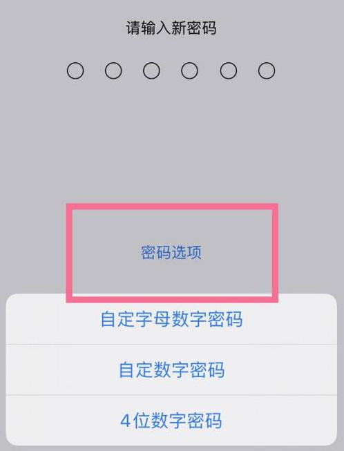 赵西垸林场苹果14维修分享iPhone 14plus设置密码的方法 