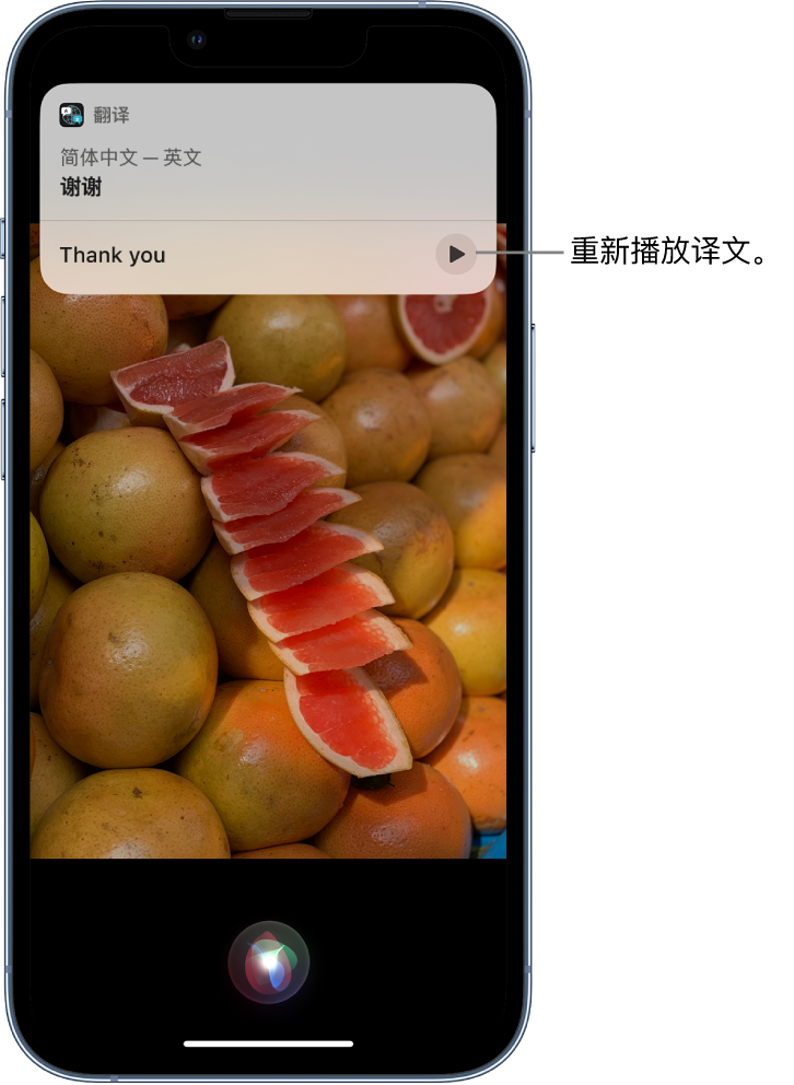 赵西垸林场苹果14维修分享 iPhone 14 机型中使用 Siri：了解 Siri 能帮你做什么 