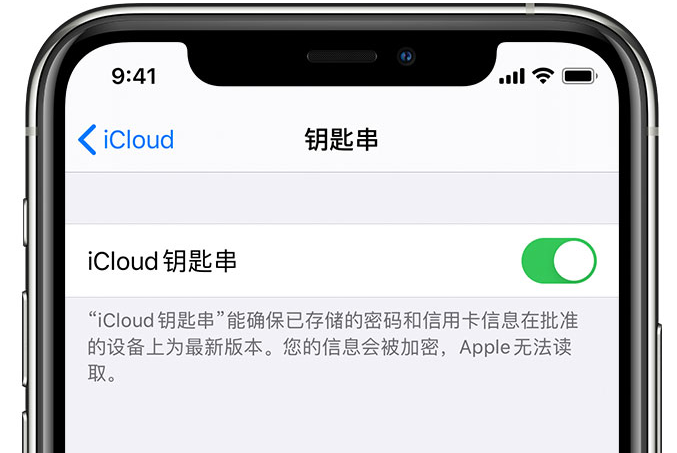 赵西垸林场苹果手机维修分享在 iPhone 上开启 iCloud 钥匙串之后会储存哪些信息 