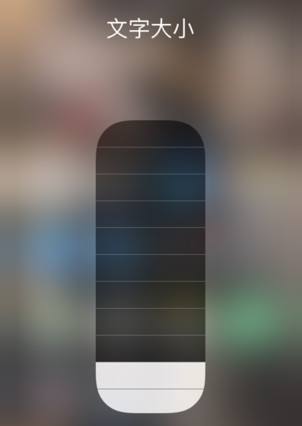 赵西垸林场苹果手机维修分享小技巧：在 iPhone 控制中心快速调节字体大小 