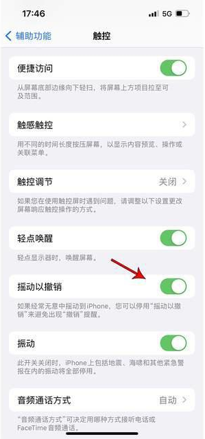 赵西垸林场苹果手机维修分享iPhone手机如何设置摇一摇删除文字 