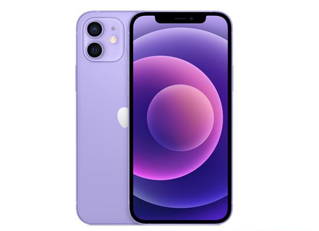 赵西垸林场苹果手机维修分享现阶段要不要入手紫色版iPhone12 