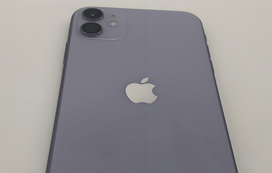赵西垸林场苹果11系统维修分享iPhone11手机系统崩溃无法开机如何解决